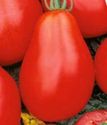томат индетерменантный Красный колокольчик